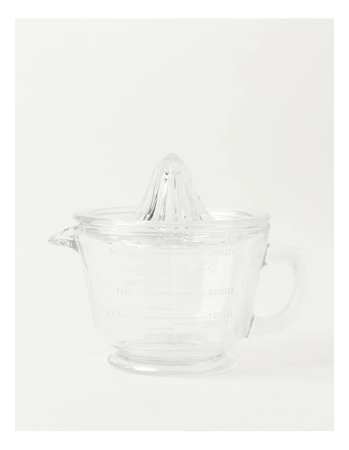 Glass Juicer
