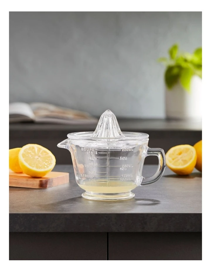 Glass Juicer - Image 2