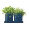 Herb Set In Midnight Blue