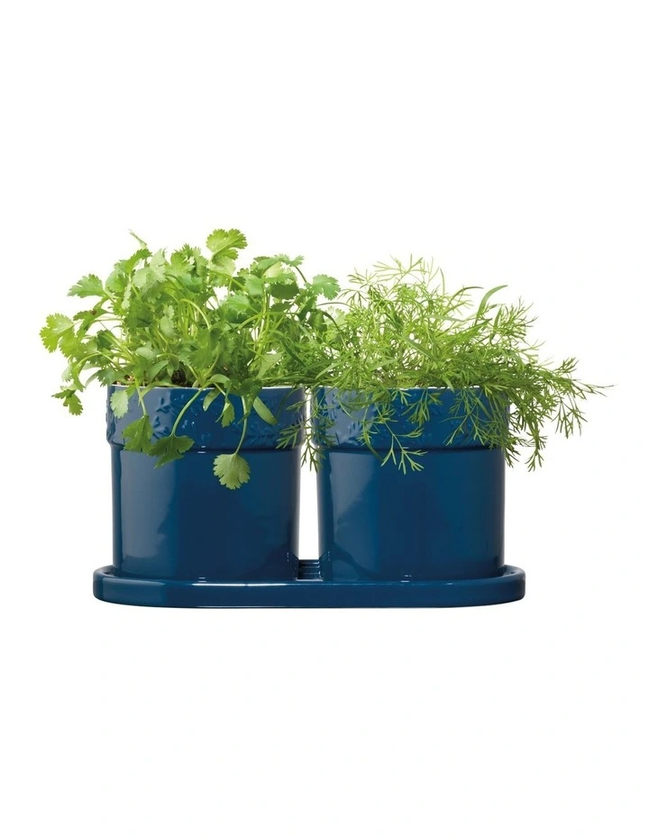 Herb Set In Midnight Blue - Image 2